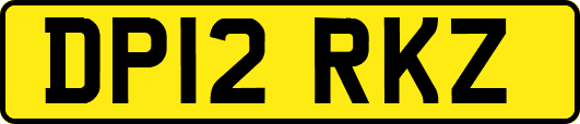 DP12RKZ