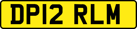 DP12RLM