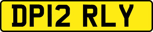 DP12RLY