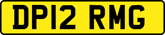DP12RMG