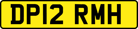 DP12RMH