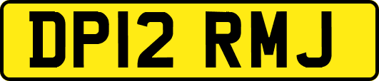 DP12RMJ
