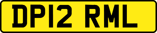 DP12RML