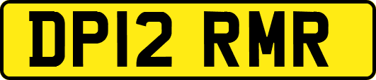 DP12RMR