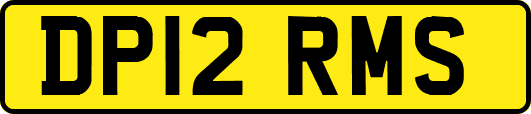 DP12RMS