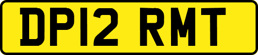 DP12RMT