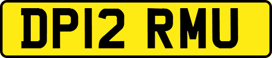 DP12RMU