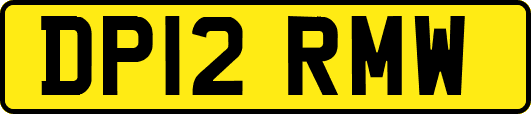 DP12RMW