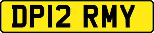 DP12RMY