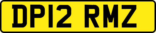 DP12RMZ