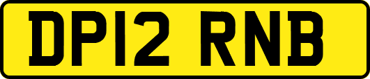 DP12RNB