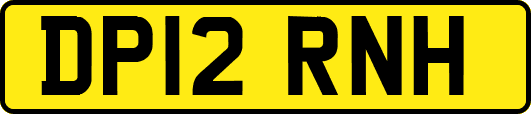 DP12RNH