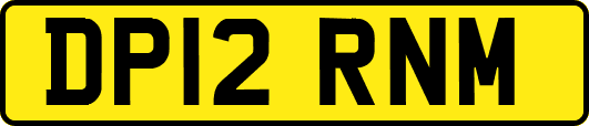 DP12RNM