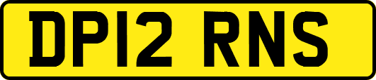 DP12RNS