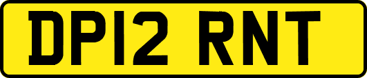 DP12RNT