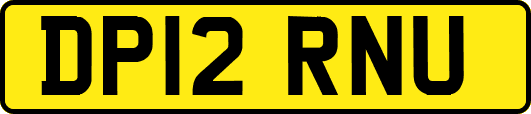 DP12RNU