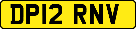 DP12RNV