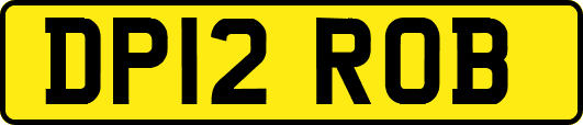 DP12ROB
