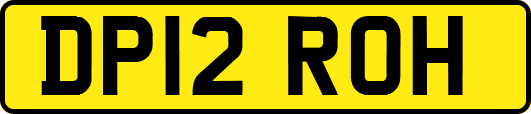 DP12ROH