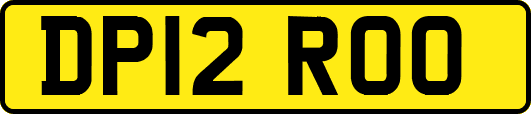DP12ROO