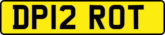 DP12ROT