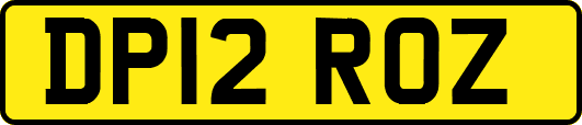 DP12ROZ