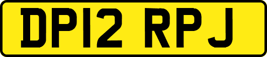 DP12RPJ