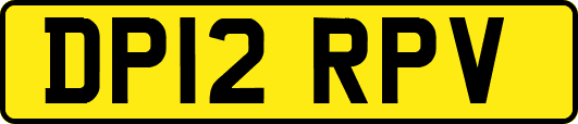 DP12RPV
