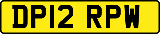 DP12RPW