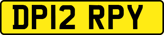DP12RPY