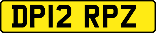 DP12RPZ