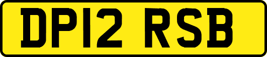 DP12RSB