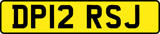 DP12RSJ