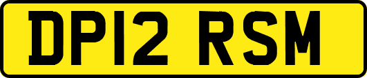 DP12RSM