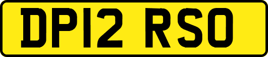 DP12RSO
