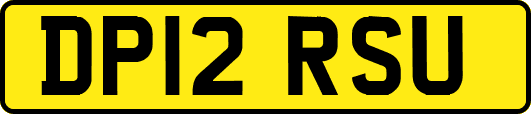 DP12RSU