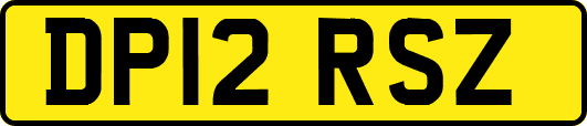 DP12RSZ