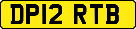 DP12RTB