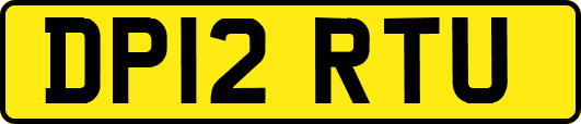 DP12RTU
