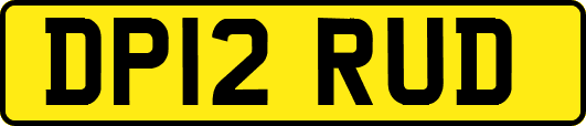 DP12RUD