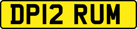 DP12RUM