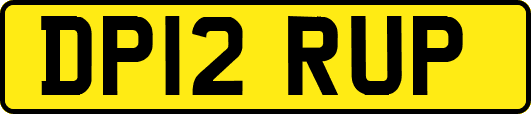 DP12RUP