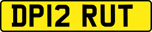 DP12RUT