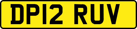DP12RUV