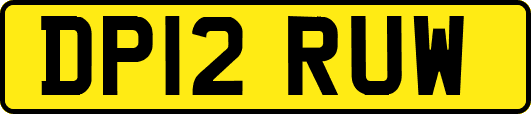 DP12RUW