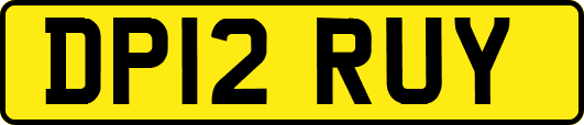 DP12RUY