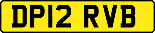 DP12RVB