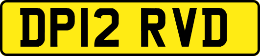 DP12RVD