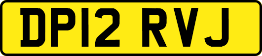 DP12RVJ