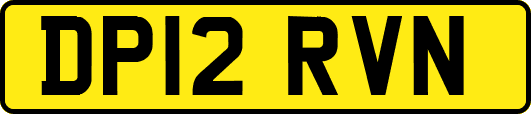 DP12RVN